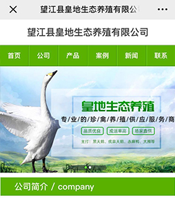 皇地養(yǎng)殖手機(jī)網(wǎng)站